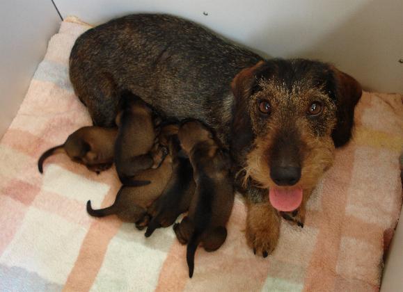 Foto (für die Webseite, falls vorhanden)