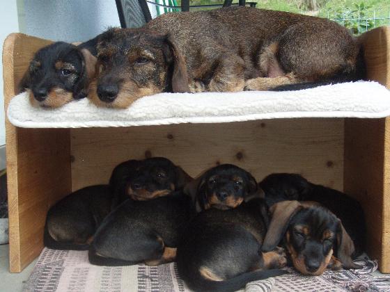 Foto (für die Webseite, falls vorhanden)