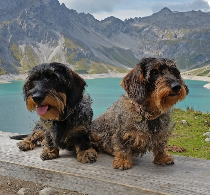 Foto (für die Webseite, falls vorhanden)