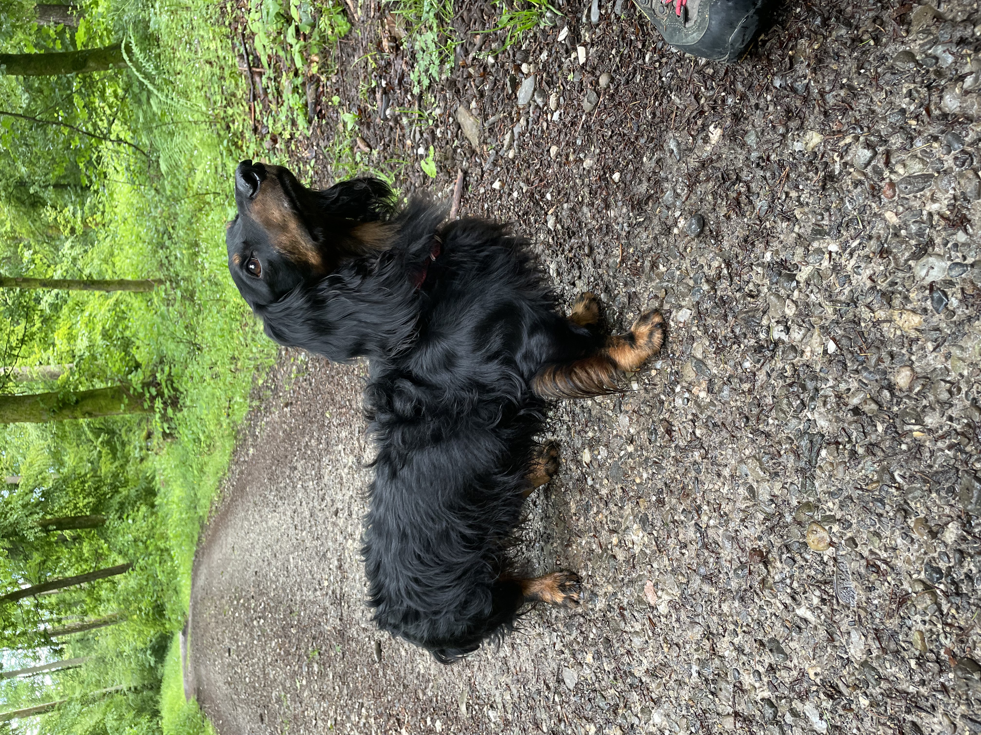 Foto (für die Webseite, falls vorhanden)