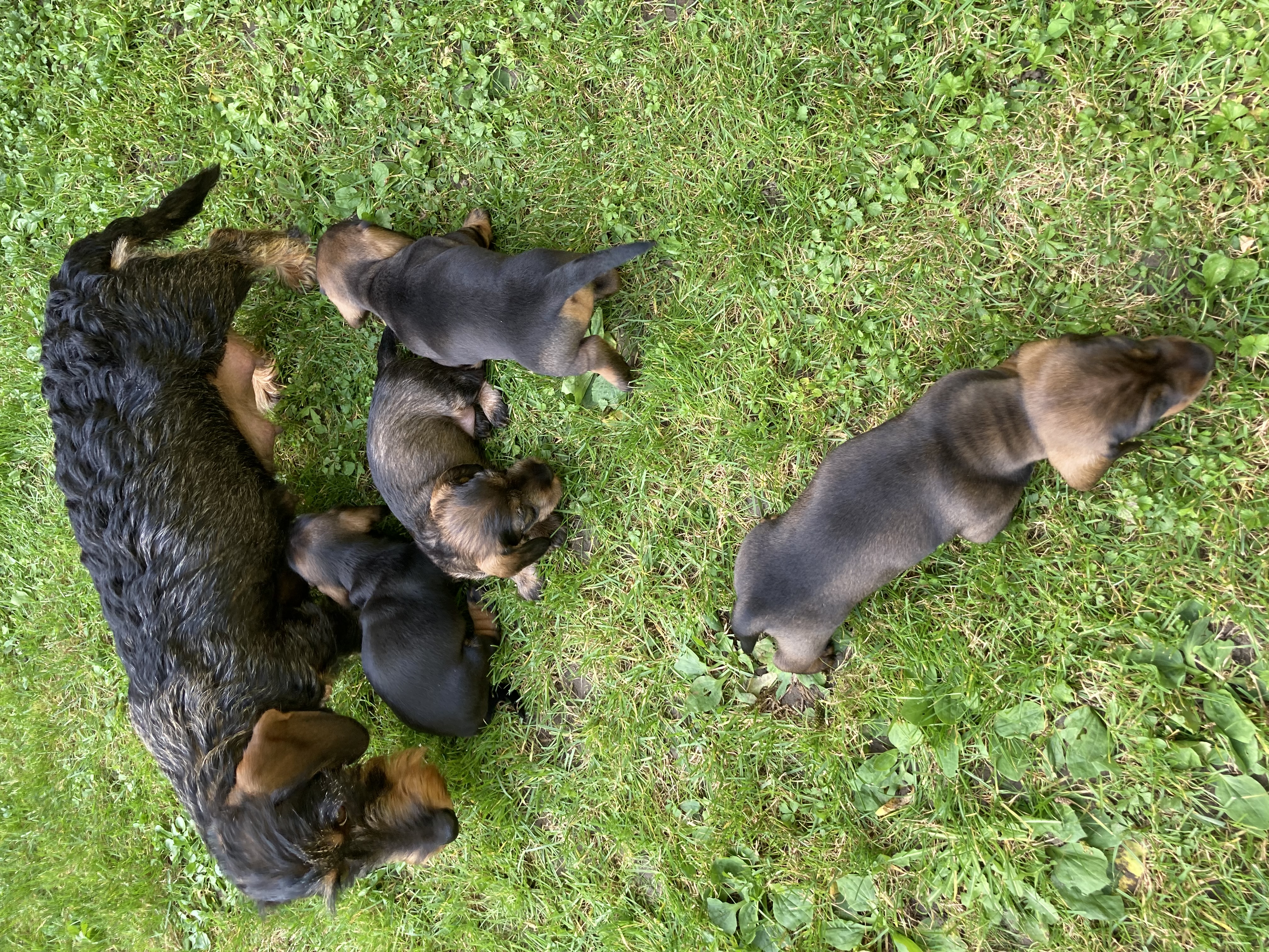 Foto (für die Webseite, falls vorhanden)