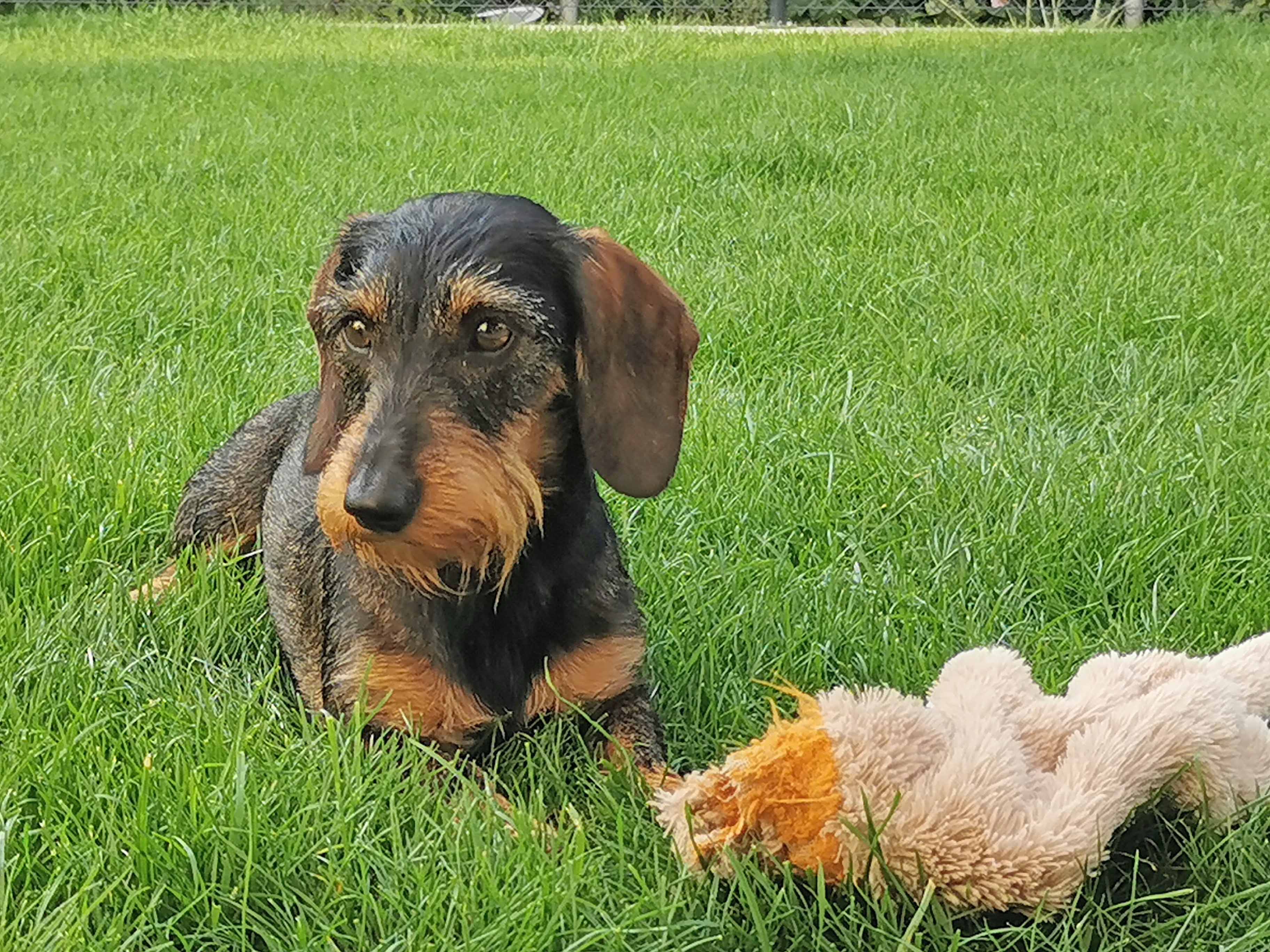 Foto (für die Webseite, falls vorhanden)