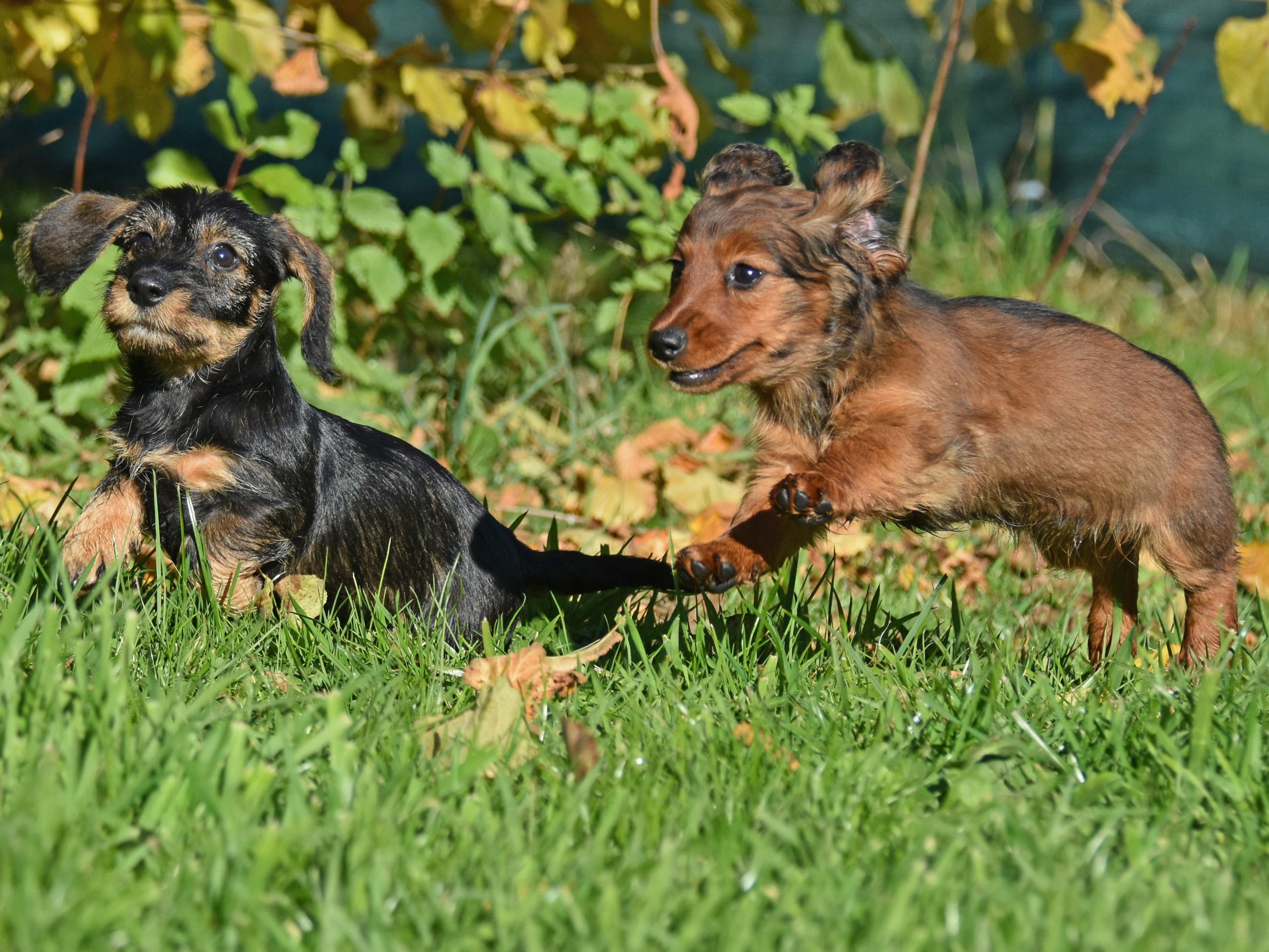 Foto (für die Webseite, falls vorhanden)