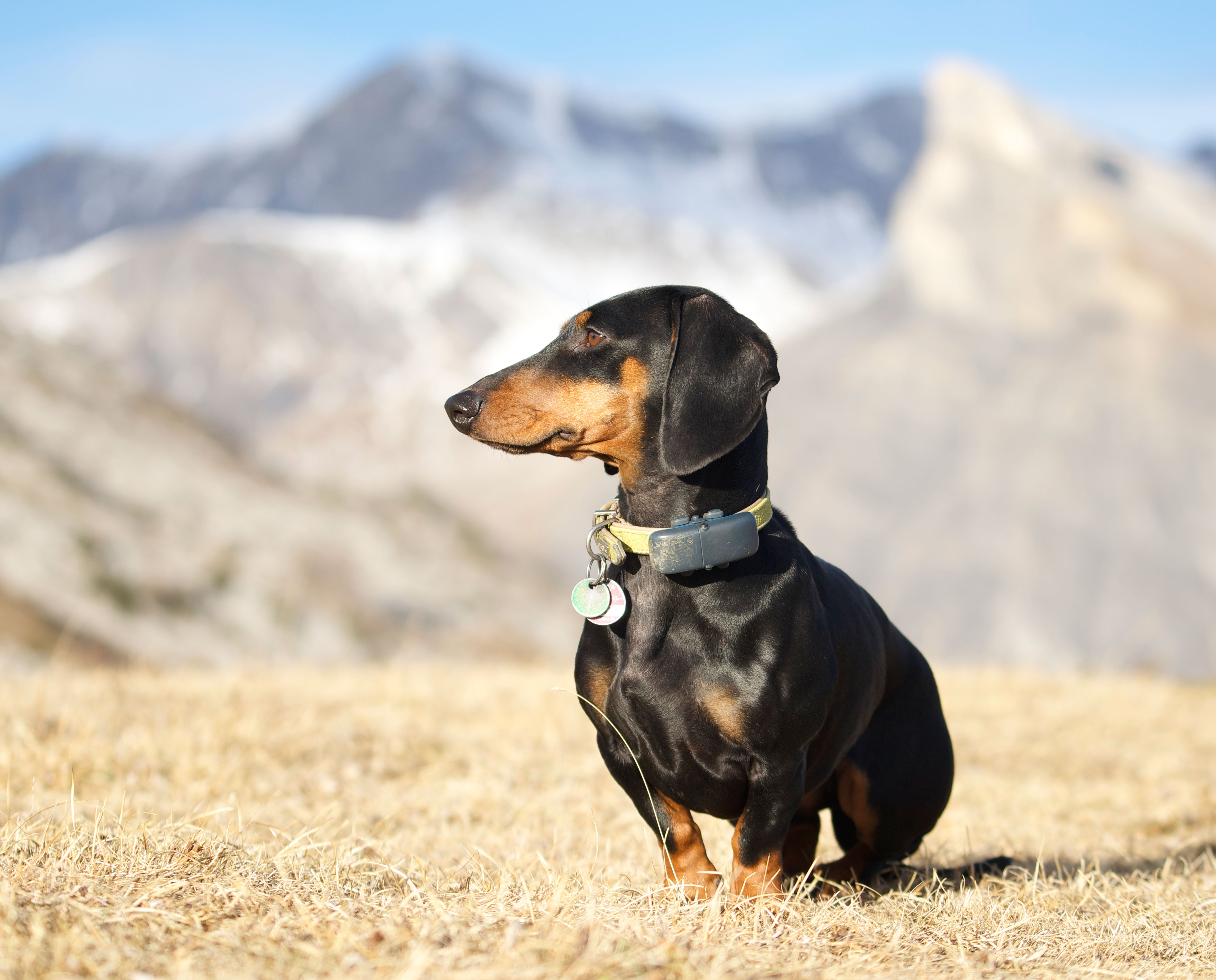 Foto (für die Webseite, falls vorhanden)