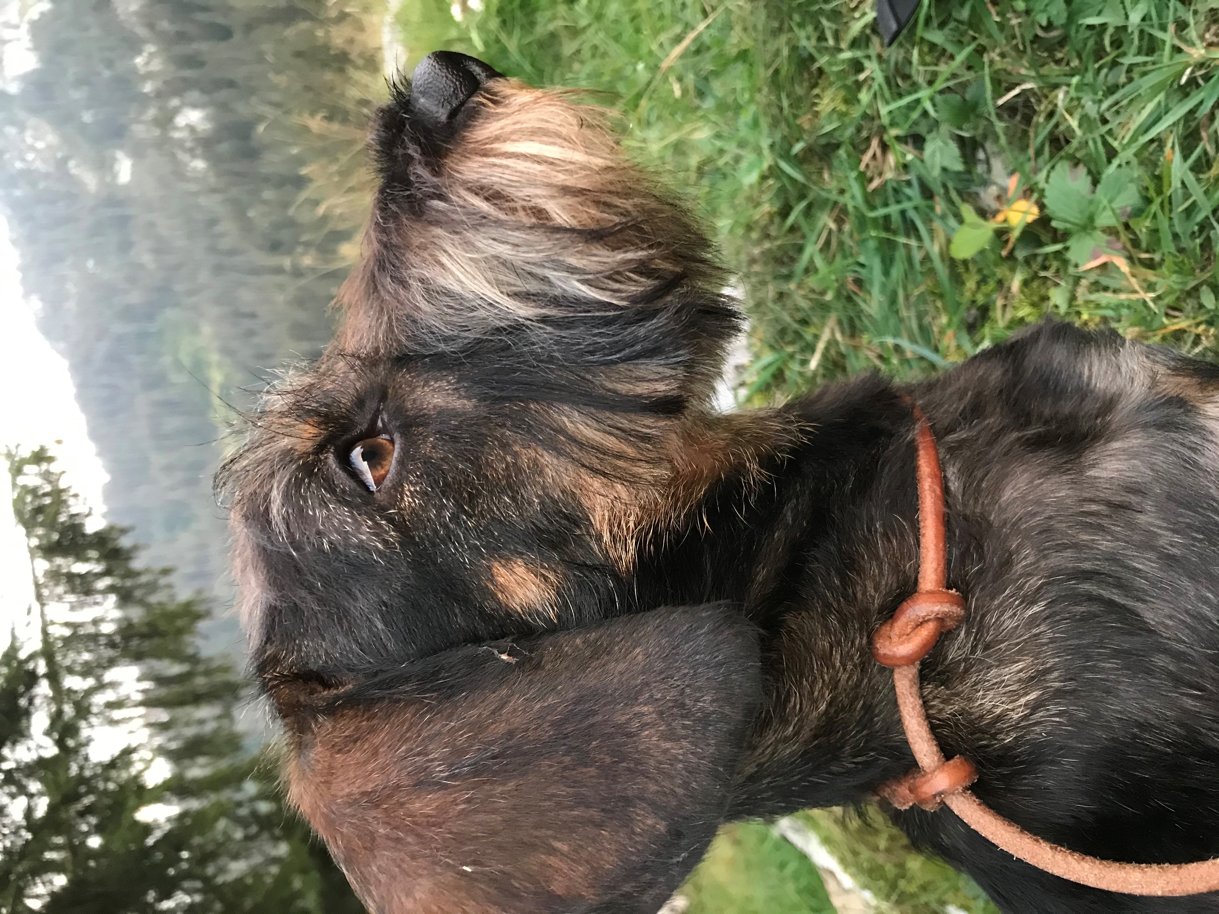 Foto (für die Webseite, falls vorhanden)