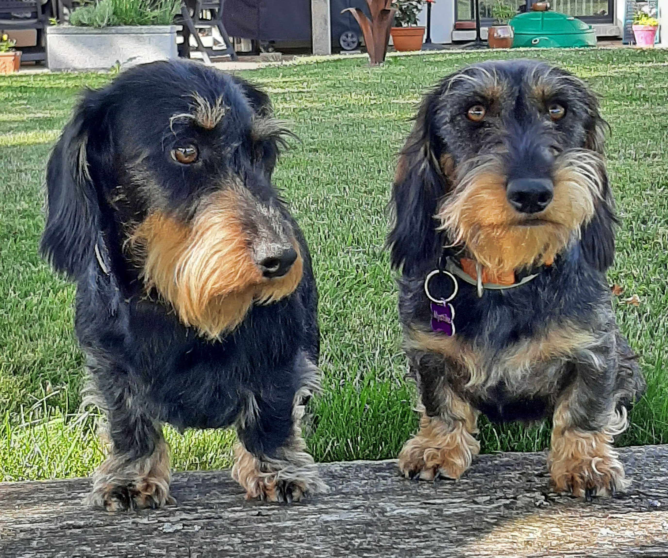 Foto (für die Webseite, falls vorhanden)