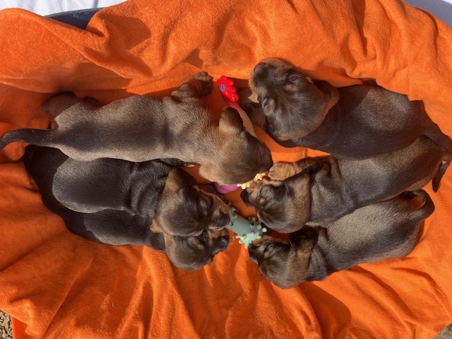 Foto (für die Webseite, falls vorhanden)