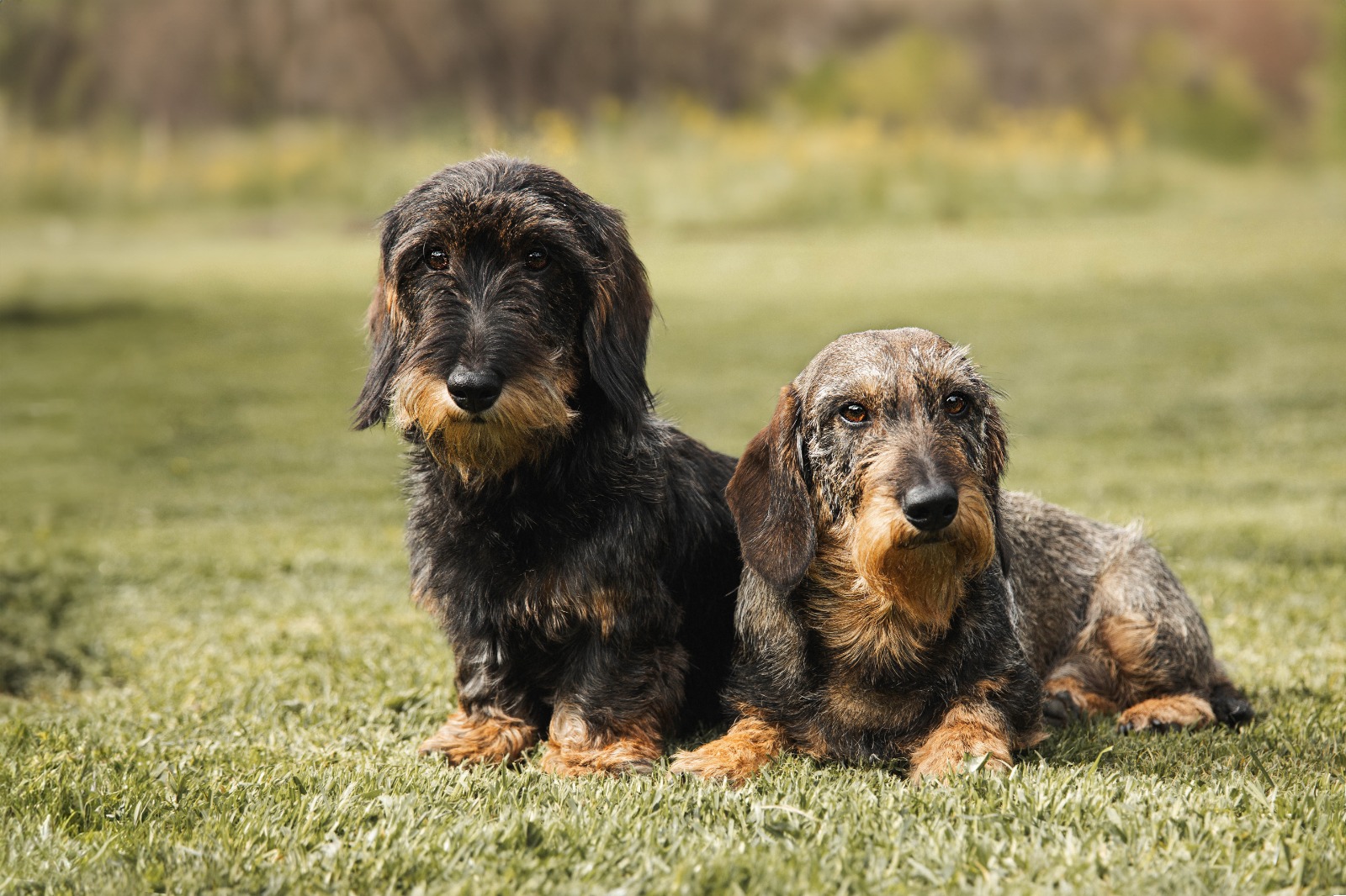 Foto (für die Webseite, falls vorhanden)