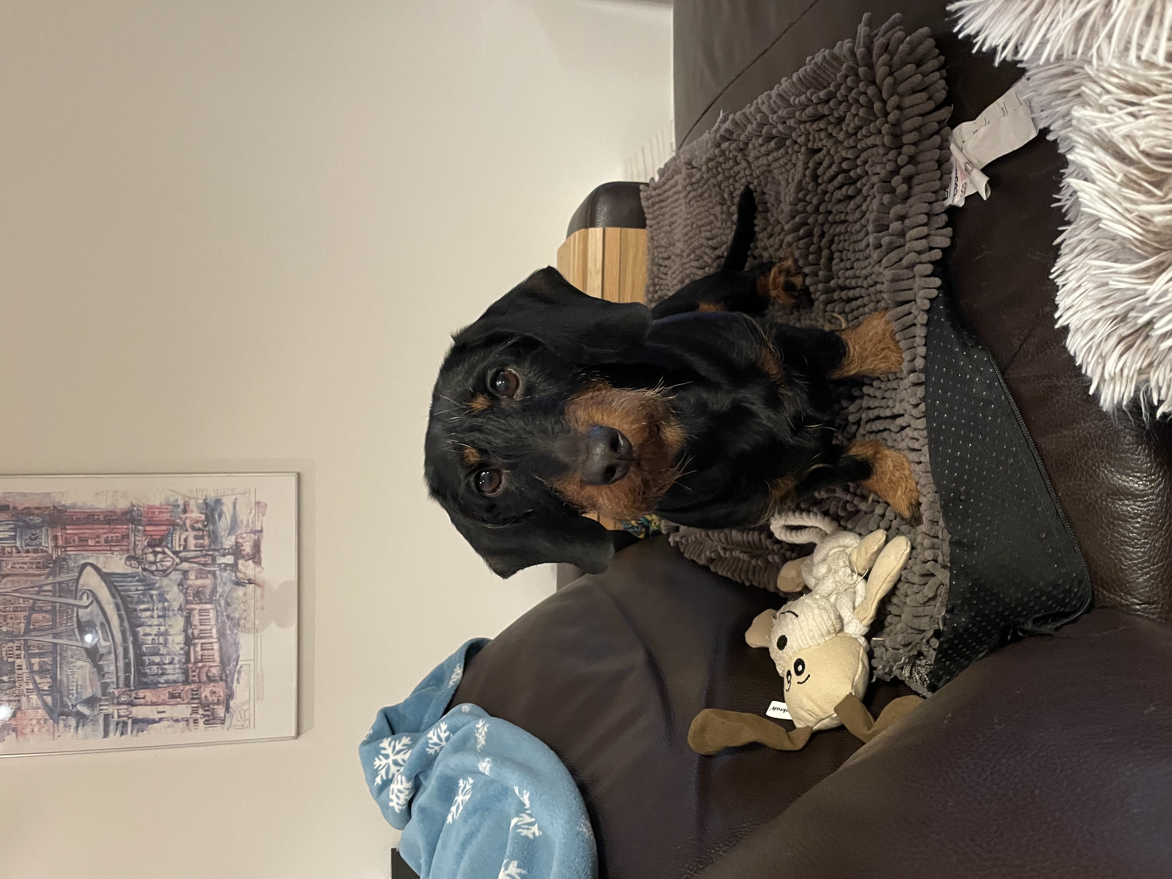 Foto (für die Webseite, falls vorhanden)