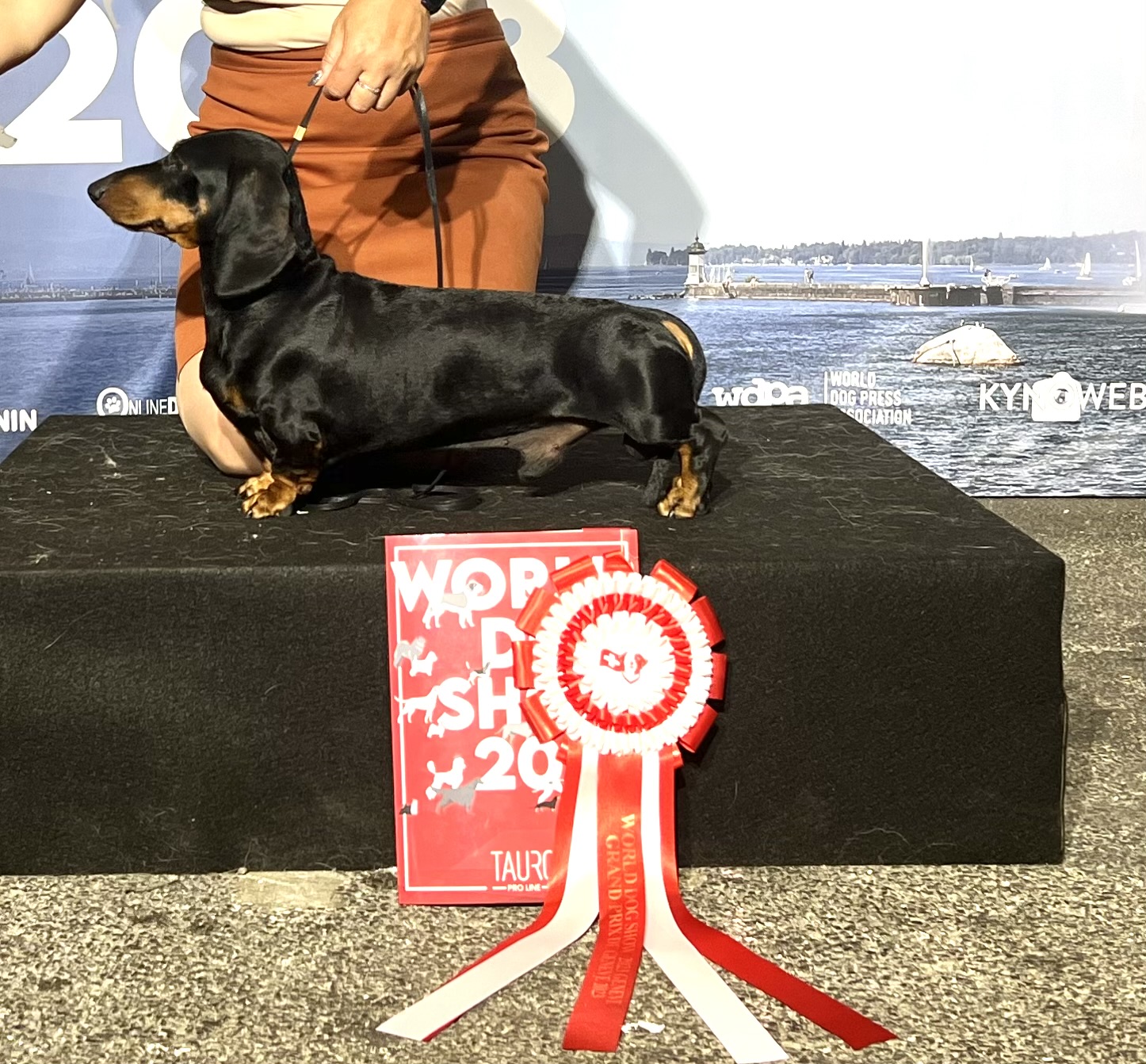 Stammbaumdaten (falls elektronisch vorhanden)